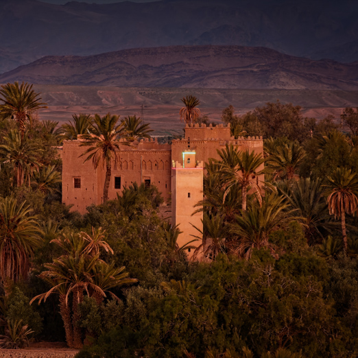 fortress in Skoura, morocco, surrounded by palm trees