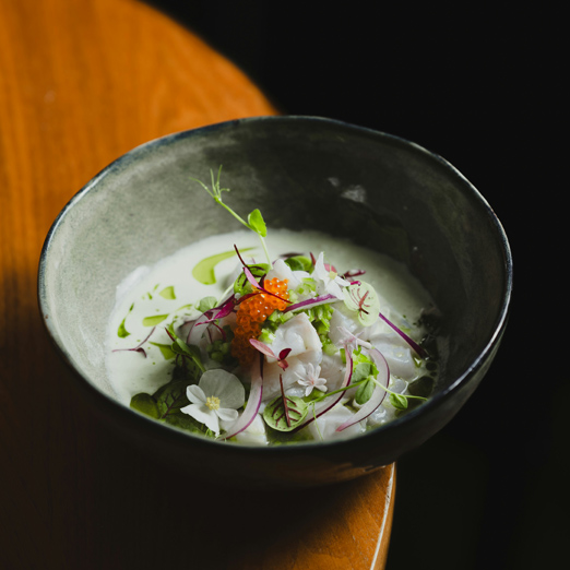 peru culinary experience tasting ceviche