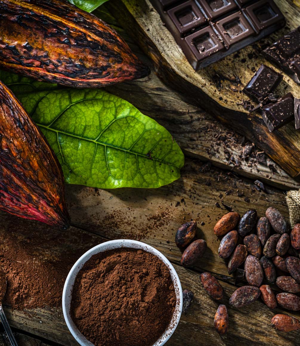 Overhead view of organic cocoa pods, cocoa beans cocoa powder shot on rustic wooden table.
