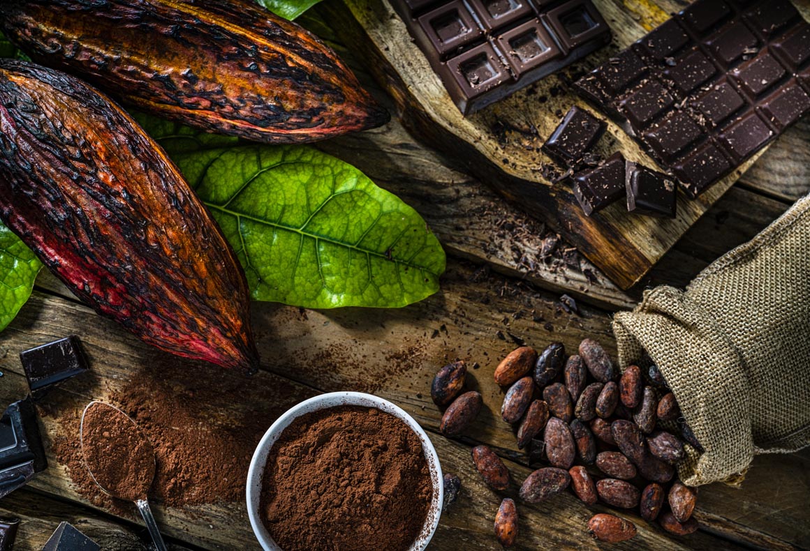 Overhead view of organic cocoa pods, cocoa beans cocoa powder shot on rustic wooden table.