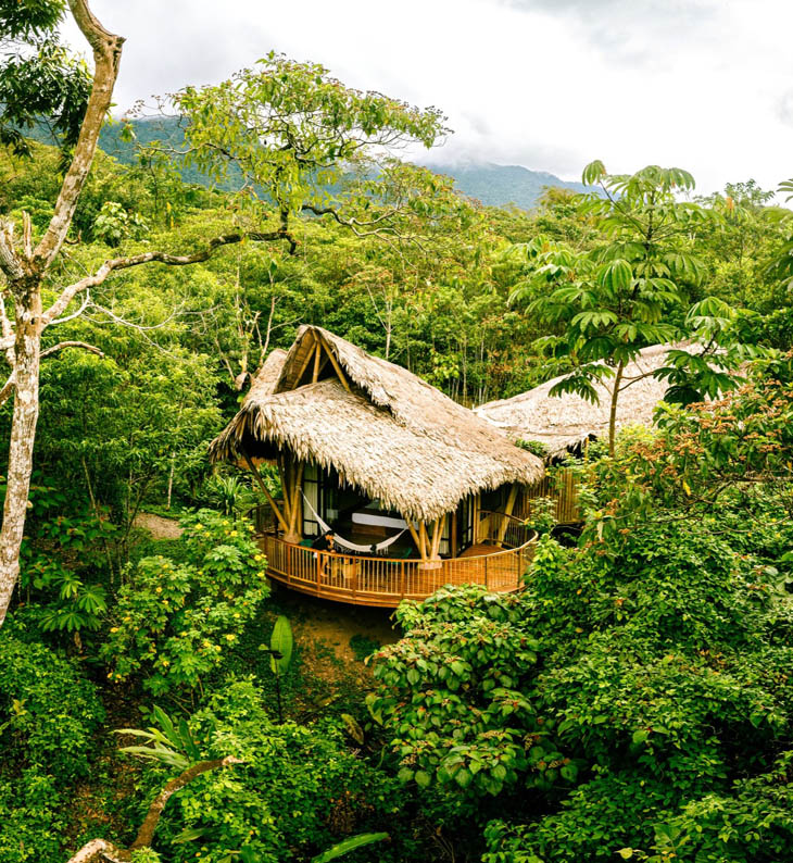 bosque guardian lodge in peru's rainforest