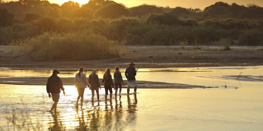 walking across a river in ruaha national park with moli from kichaka expeditions
