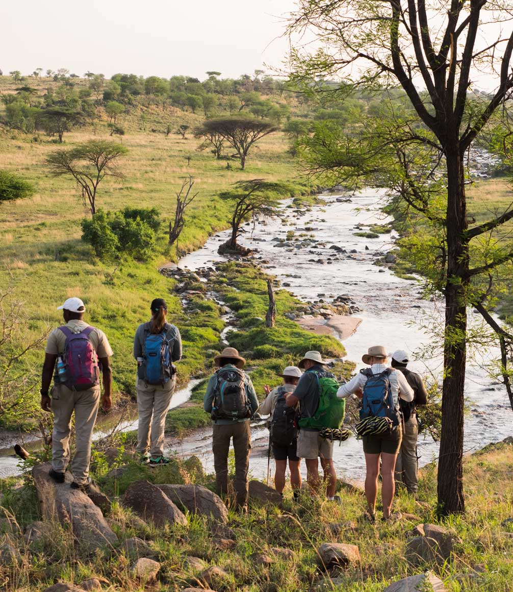walking safari in northern tanzania and the serengeti with wayo