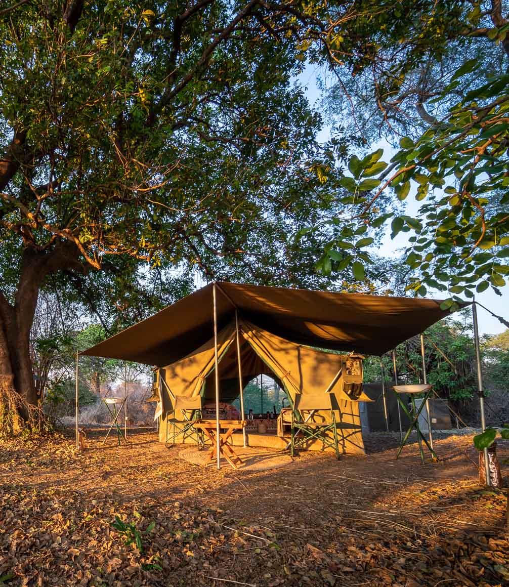 mobile walking safari camp in south luangwa national park