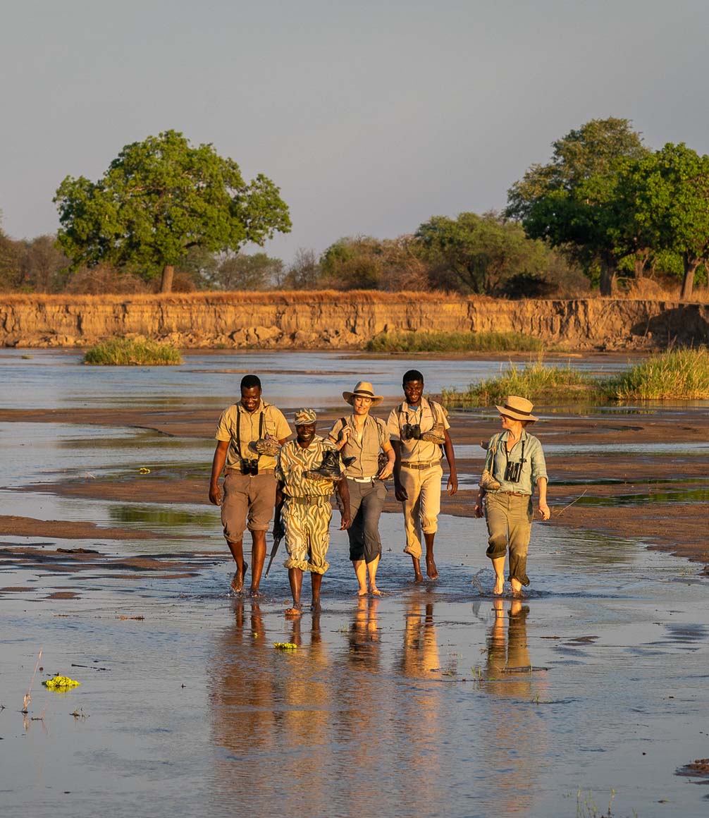 safari travellers walking through a shallow river in south luangwa national park on a walking safari