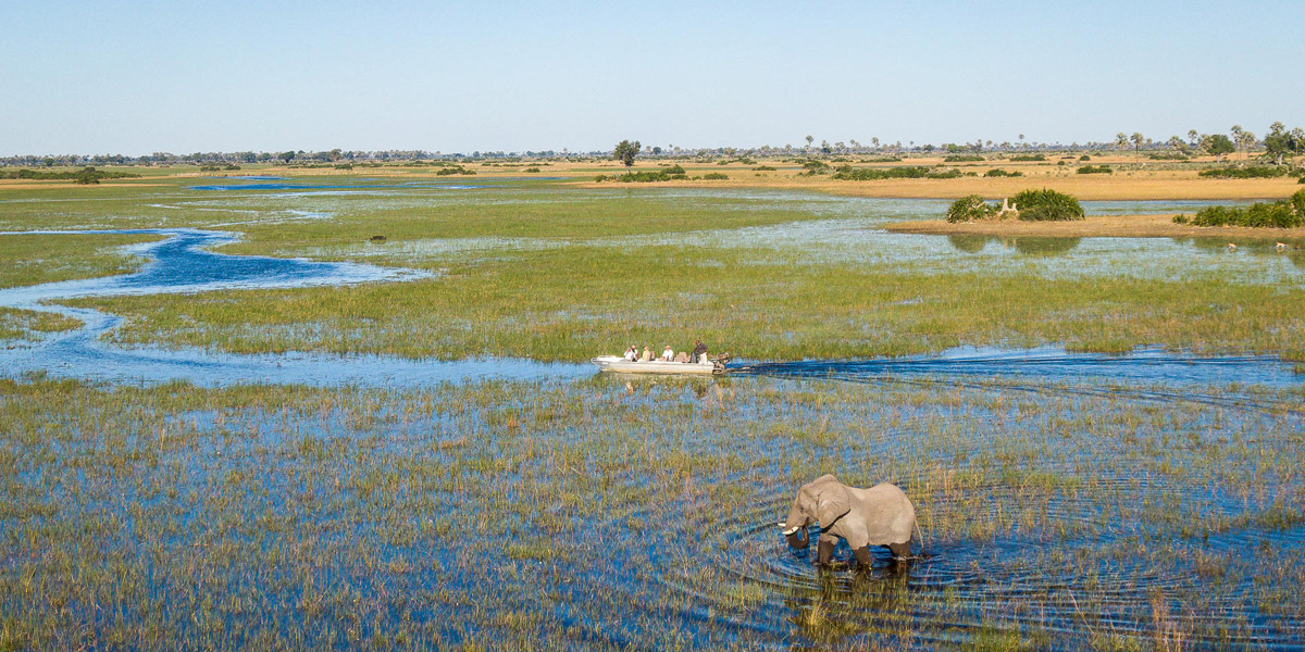 boat safari and elephant sighting in okavango delta with jao camp