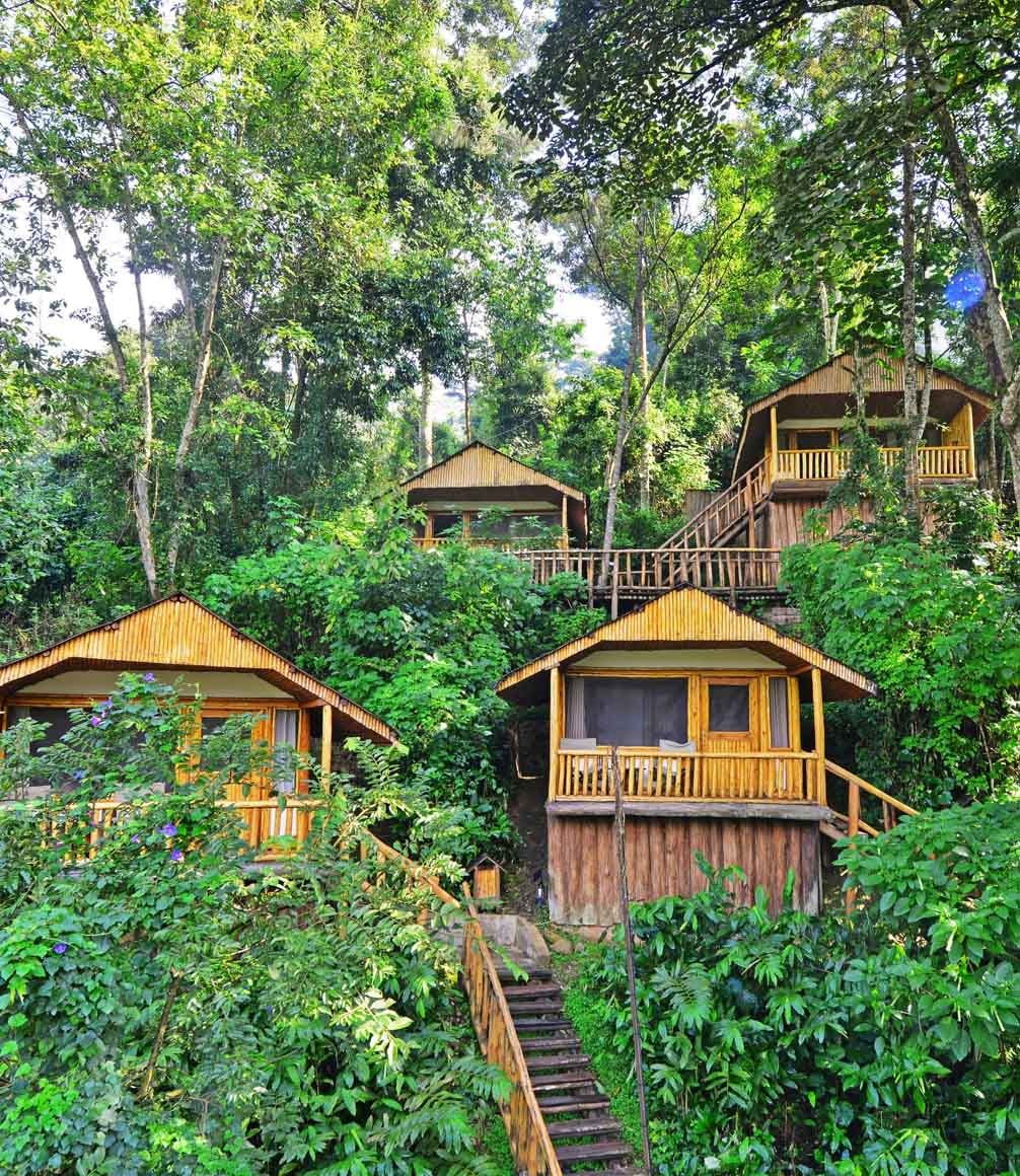 guest suites at buhoma lodge in bwindi uganda