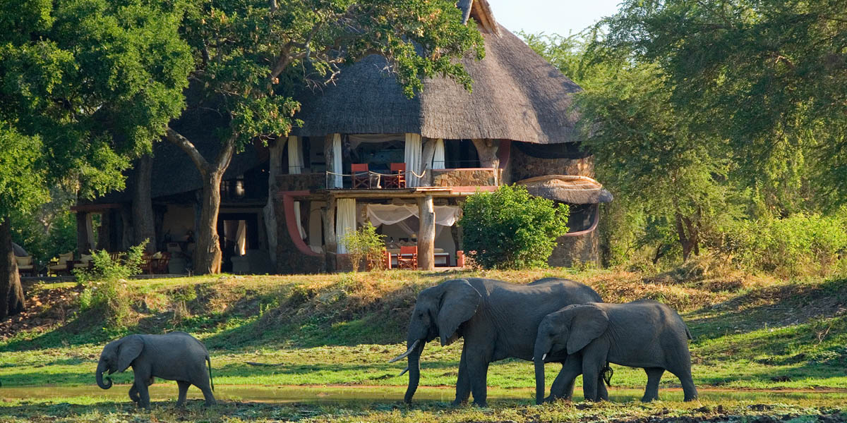 luangwa safari house from the exterior with elephant