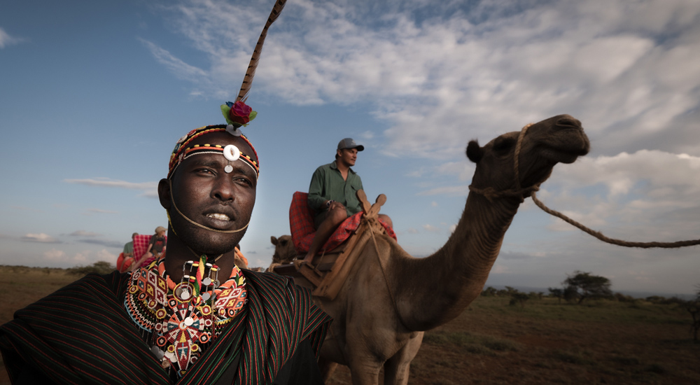 camel safari with samburu in northern kenya