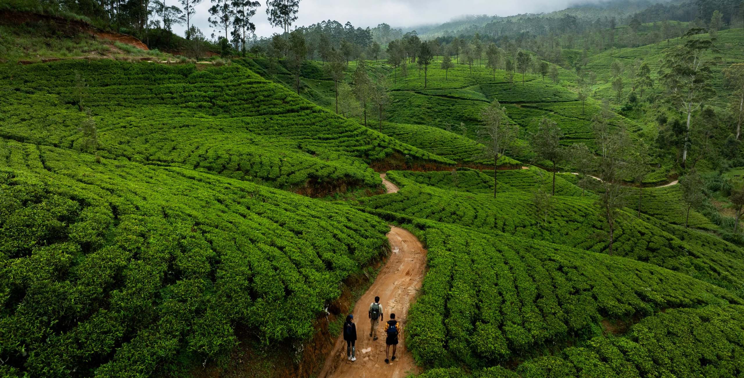 walking the pekoe trail through the central highlands of sri lanka