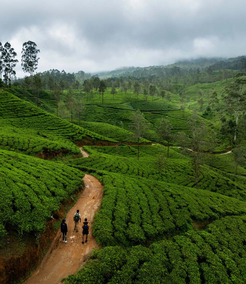 walking the pekoe trail through the central highlands of sri lanka