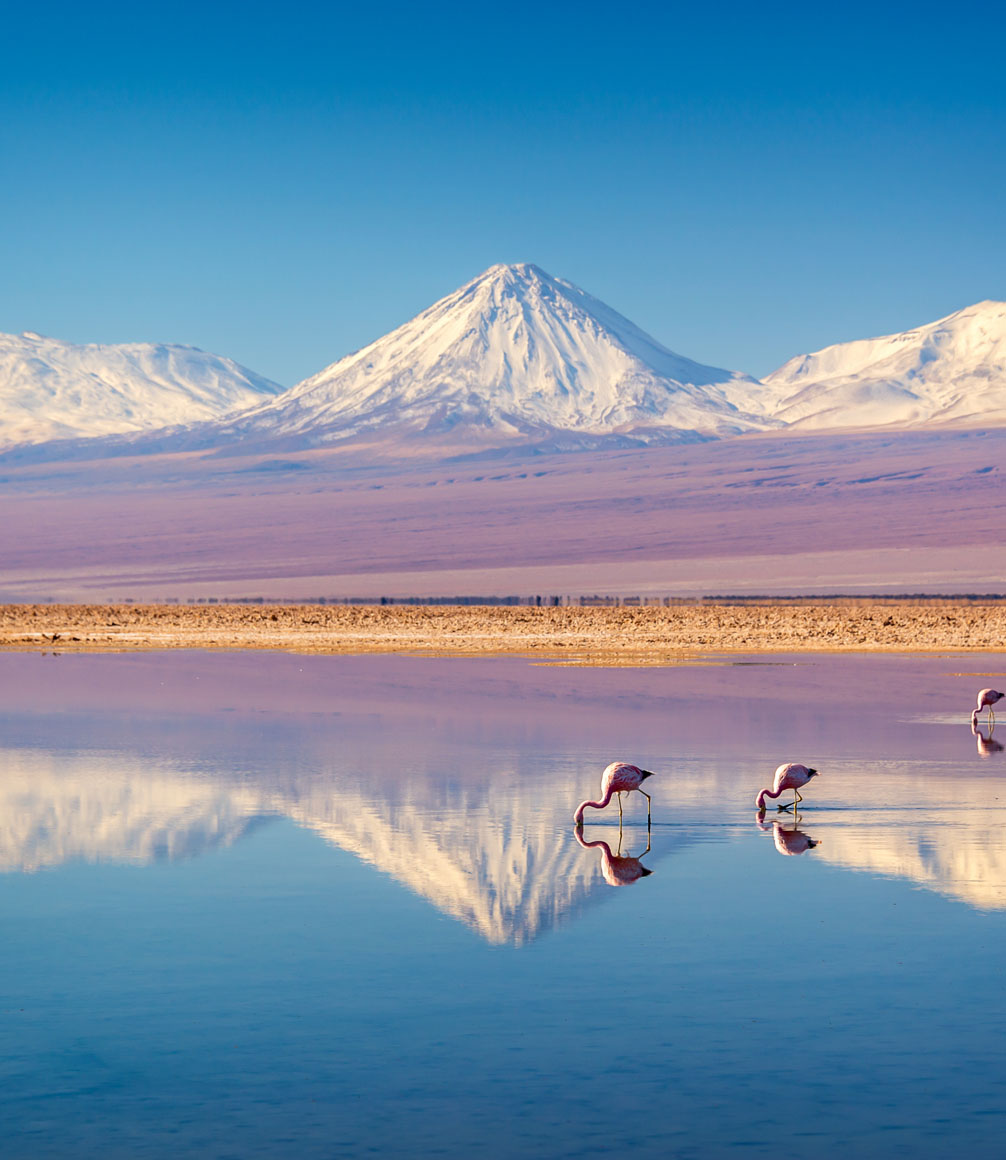 view of the atacama desert with mountains reflected in a soda lake and flamingoes wading