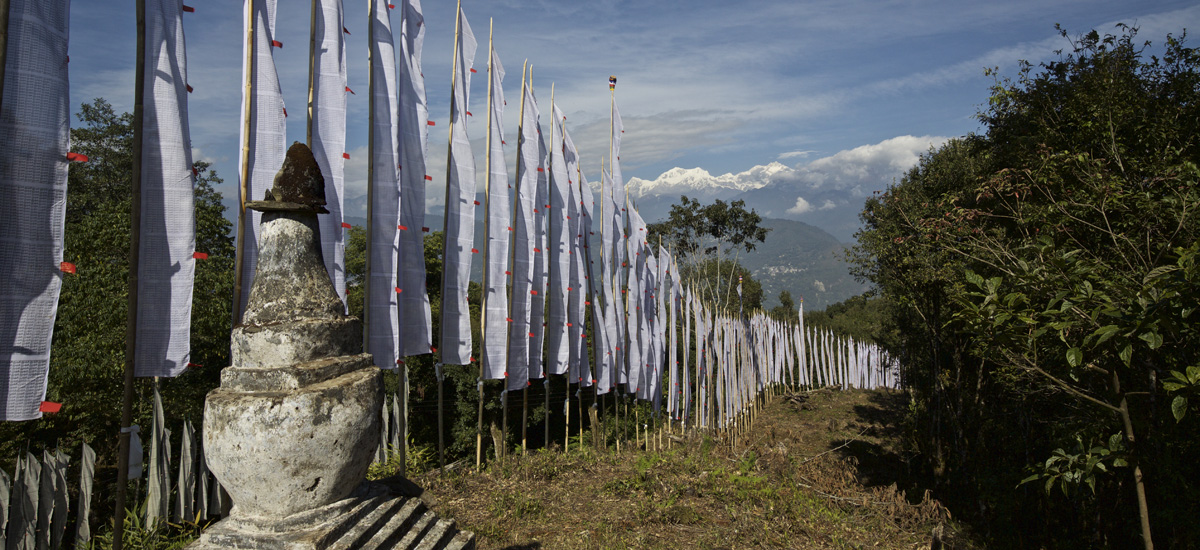 Prayer flags on mountainside in sikkim