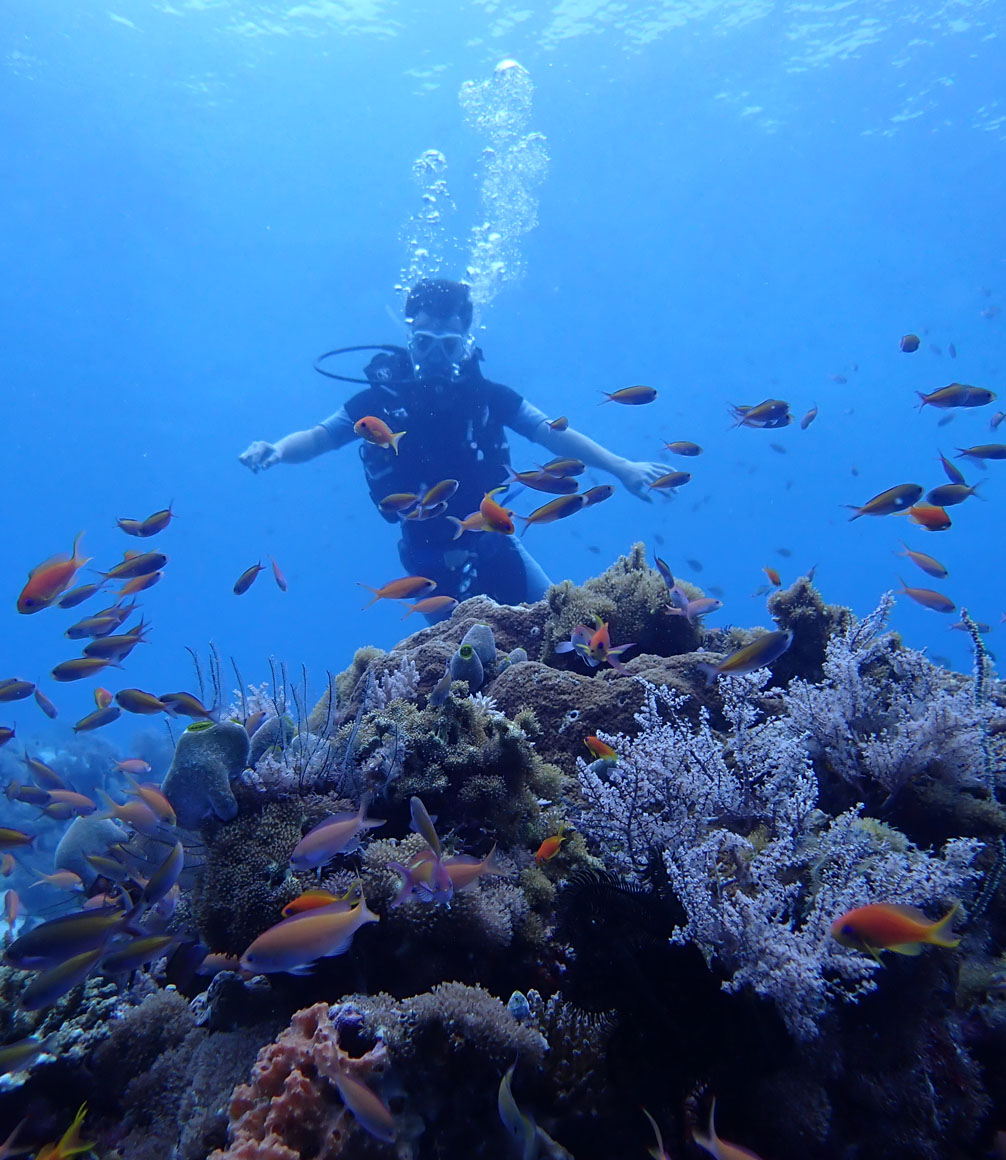 guest snorkelling the coral reef at fundu lagoon