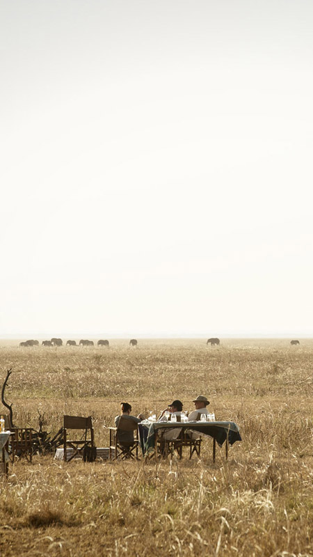 elephants on the horizon watched by guests having sundowners in katavi, tanzania