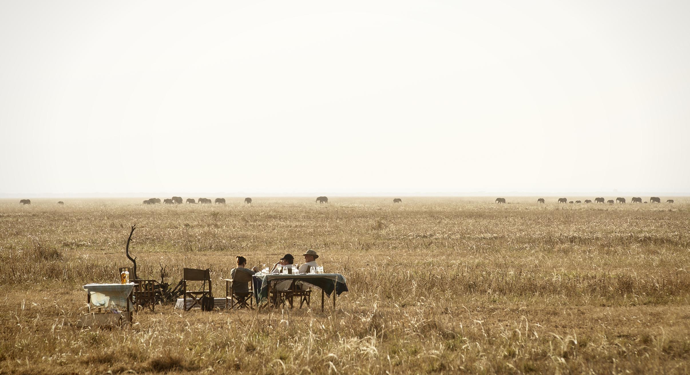 elephants on the horizon watched by guests having sundowners in katavi, tanzania
