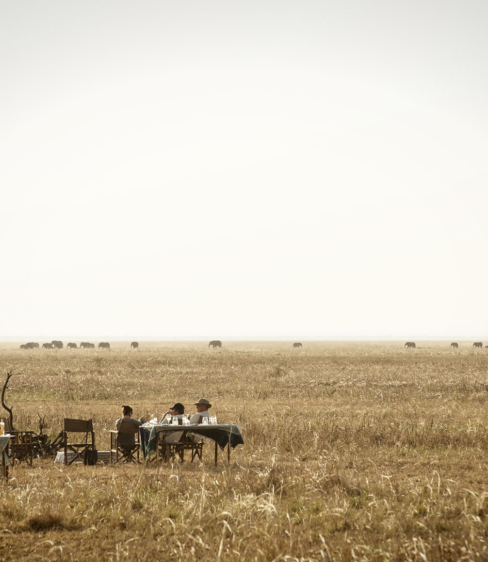 elephants on the horizon watched by guests having sundowners in katavi, tanzania