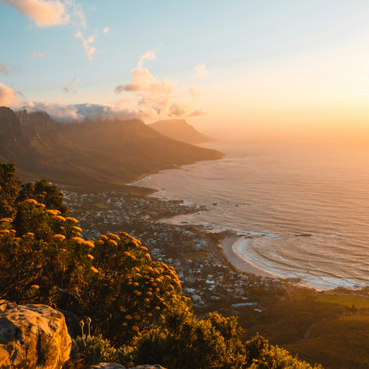 view of cape town from the mountain