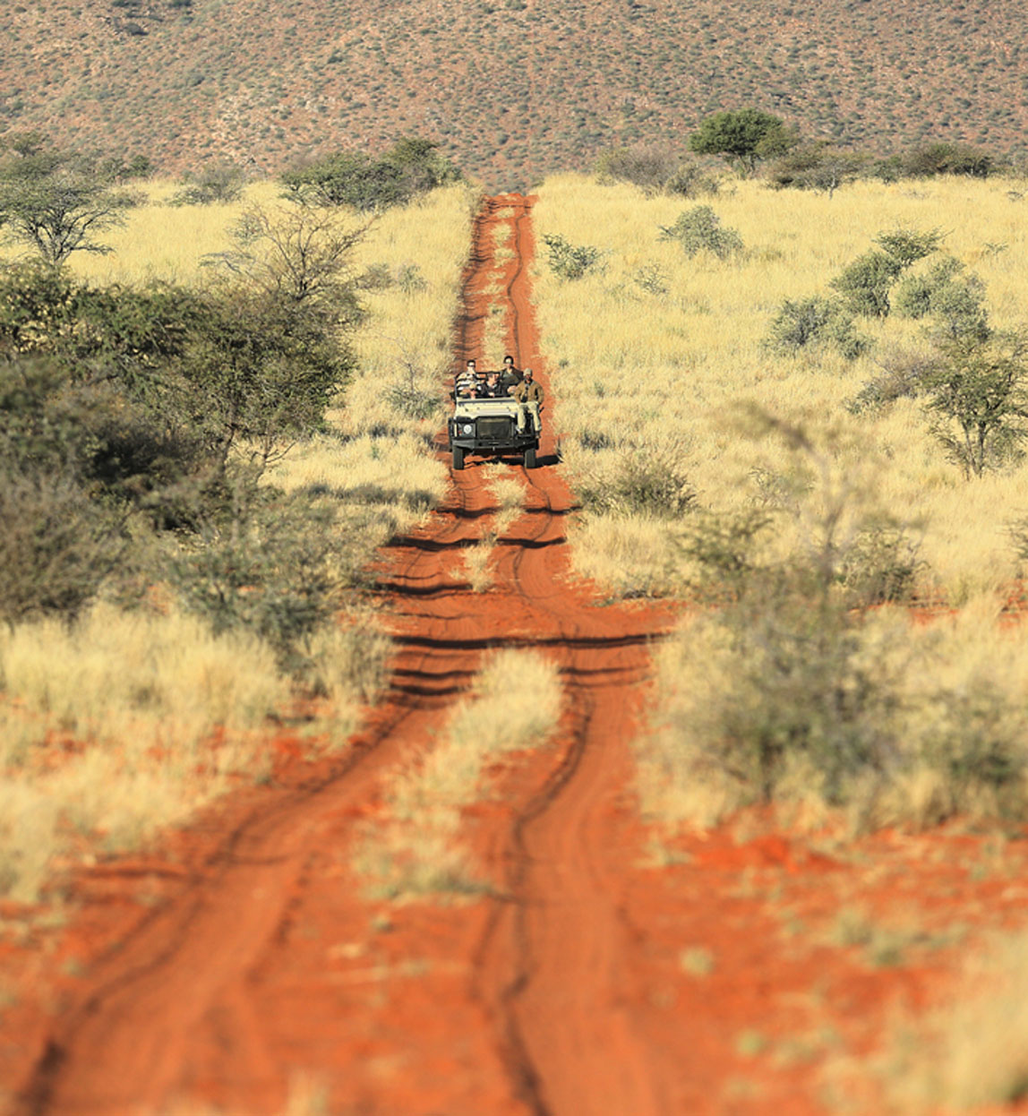dirt track in tswalu conservancy in the kalahari in south africa