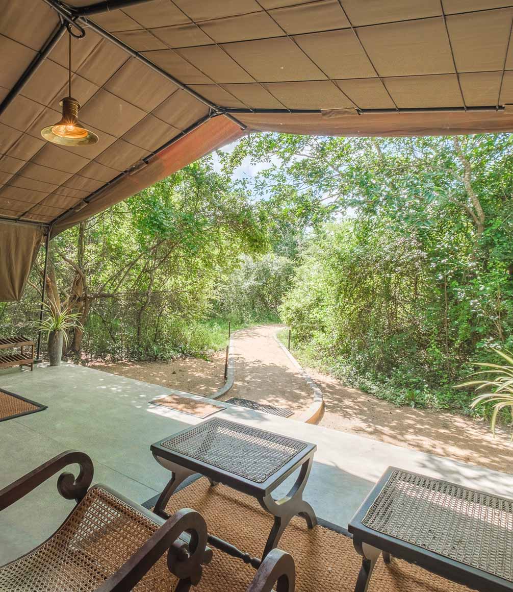 leopard trails suite verandah looking into the surroundings