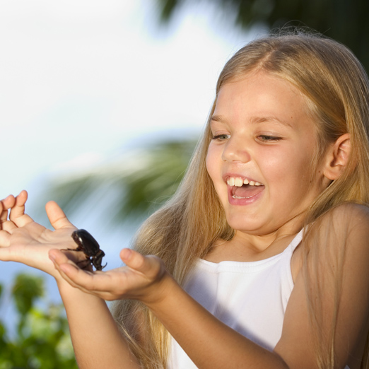 child guest holding beetle on seychelles