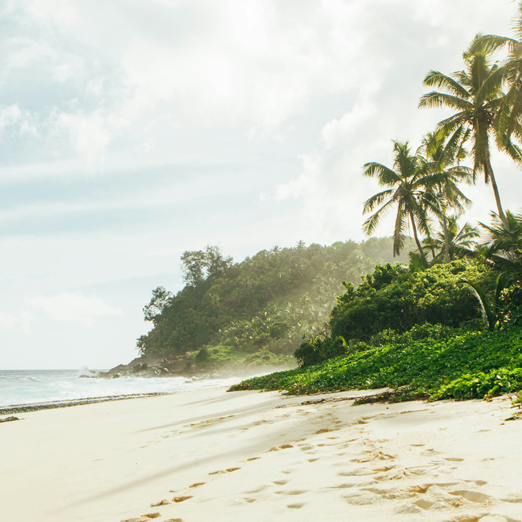 view of beach on mahe island in the seychelles